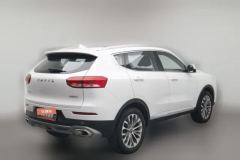 2020 Haval H6 2020 1.5T AT PlatinumChampion #2