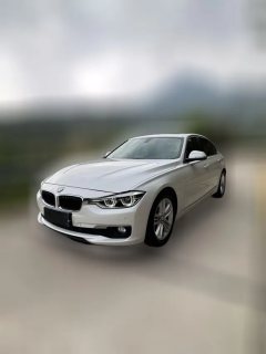 2017 BMW 3 Series 2017 2.0T AT 320LiFashion #1