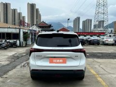 2023 Dongfeng Fengxing Fengxing Youting 2022 1.5T AT DCTChase the wavesEdition #8