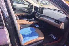 2023 Hongqi E-QM5 2023 620km PLUS #8