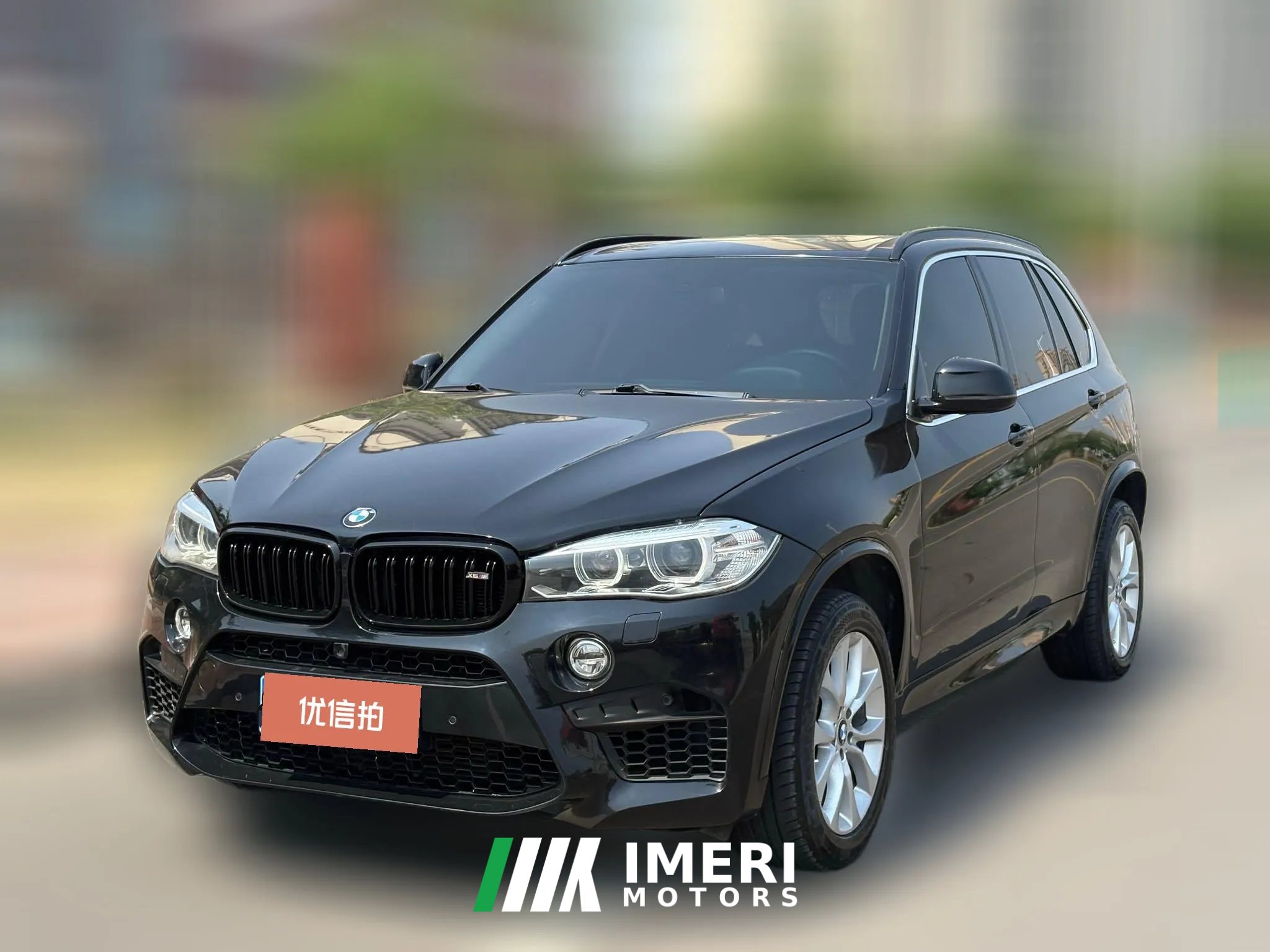 2015 BMW X5(Imported)(Imported) 2014 3.0T AT 35iLeading (Imported)