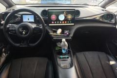 2024 BYD Dolphin 2025 420km Fashion #12
