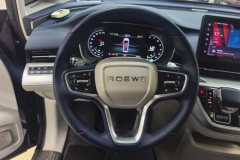 2021 Roewe iMAX8 2021 2.0T AT 400TGISupremeSeriesHonor #15
