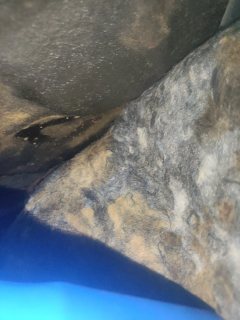 Right Rear Carpet (with Trim)