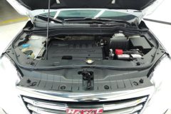 2017 Haval H6 2018 1.5T AT Red LabelSportElite FWD #10