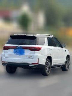 2021 Chang'an CS95 2019 2.0T AT Luxury FWD #7