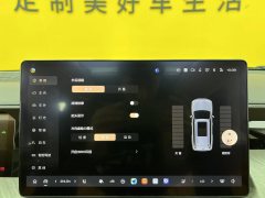2025 Tank 500 PHEV 2024 Hi4-T 2.0T AT #21