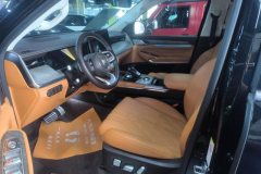 2024 Tank 500 PHEV 2024 Hi4-T 2.0T AT #9