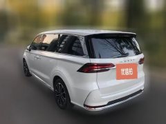 2020 Roewe iMAX8 2021 2.0T AT 400TGISupremeSeriesHonor #3