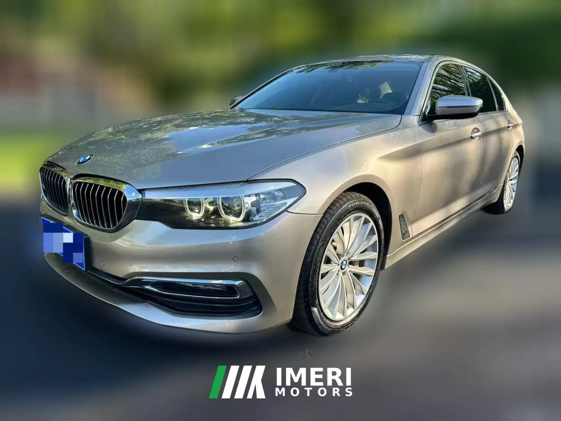 2019 BMW 5 Series 2019 2.0T AT 530LiLuxury Pkg4WD