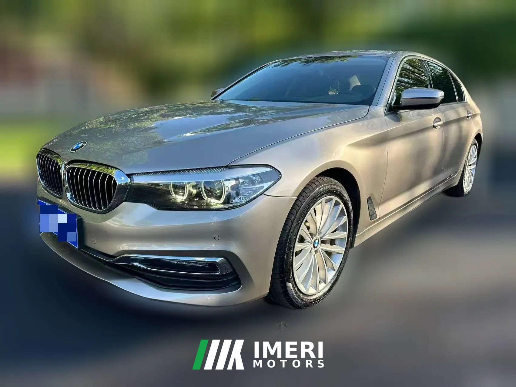 2019 BMW 5 Series 2019 2.0T AT 530LiLuxury Pkg4WD