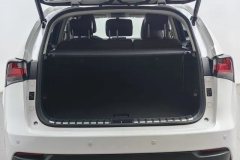 2017 Lexus NX 2016 2.0 AT 200specialLimitedFWD (Imported) #20