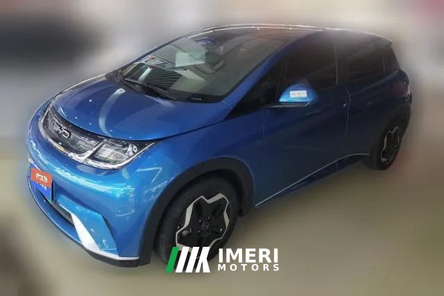 2022 BYD Dolphin 2023 420km Fashion