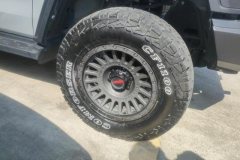 2023 Tank 300 2023 Off-road 2.0T AT conqueror #6