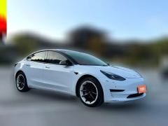 2021 Tesla Model 3 2021 StandardBattery lifeRWDUpgradeEdition #3