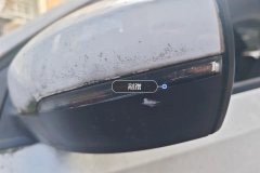 Left Exterior Mirror
