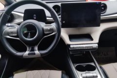 2023 BYD Dolphin 2021 405km Fashion #12