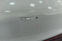 Trunk Lid