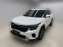 2023 Kia Seltos 2023 1.5L AT CVTLuxury #1
