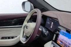 2022 Geely Auto Xingyue L 20212.0TD DCT EVO2WDPremium #23