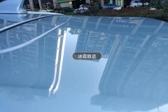 Trunk Lid