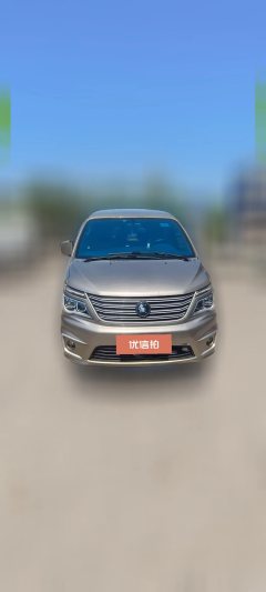 2022 Dongfeng Fengxing Lingzhi 2022 M5L 1.6L Practical 7Seat #2