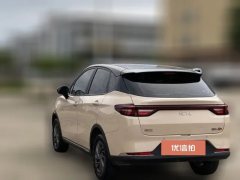 2023 Neta AYA 2023 318 Lite #6