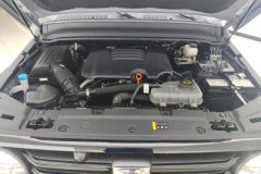 2024 Tank 300 2024 2.0T AT conqueror #9