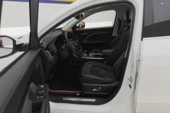 2021 Haval H6 2021 1.5T AT China tideChampion #9