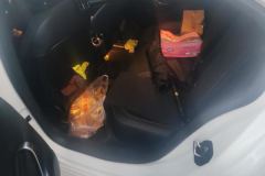 2023 Mercedes-Benz A-Class 2022 A 200 L AT Sportsedan chairFashion #11