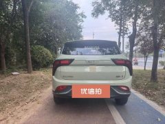 2022 Neta V 2022 tide 300 Lite NMC #8