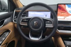 2024 Tank 500 PHEV 2024 Hi4-T 2.0T AT #15