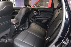 2024 Haval Big Dog Plus 2023 2.0T AT 2WDShionoEdition #11