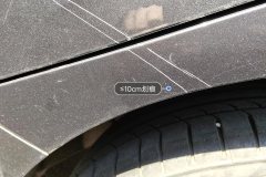 მარცხენა უკანა ფრთა (კრილო)