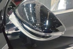 Left Exterior Mirror