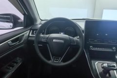 2021 Haval M6 2021 1.5T AT DCTLuxurySmart ConnectPLUS #15