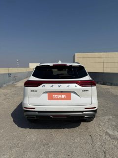 2021 Haval H6 2021 1.5T AT China tideChampion #18