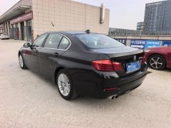 2015 BMW 5 Series 2014 2.0T AT 525LiLeading #6