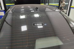 Rear Windshield