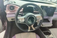 2022 BYD Dolphin 2021 405km Fashion #15