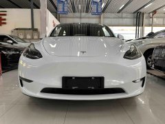 2021 Tesla Model Y 2021Long Rangeall wheel driveEdition 3D7 #8