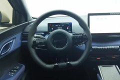 2024 BYD Seagull 2024 Glory 305km vitalityEdition #15