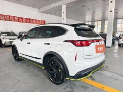 2021 Haval Chitu 2021 1.5T AT ProvokingEdition golden rabbit #9