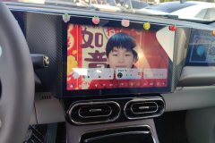 2022 Leapmotor C11 2021 Exclusive #13