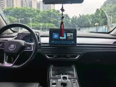 2020 BYD Qin Pro 2019 1.5T AT DMPilot HEV #11