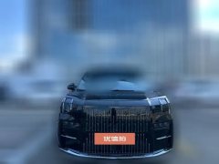 2024 Zeekr 009 2024 6SeatExecutive4WD 108kWh #2
