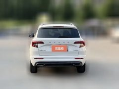 2023 Škoda Karoq 2023 TSI280 Zhi YaoEdition #3