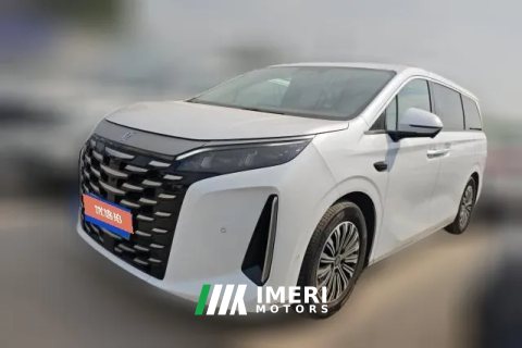 2025 BYD Xia 2025 DM-i 1.5T AT 180km excellence