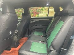 2023 Audi Q5 e-tron 2022 40 e-tron star shine brocade suit day by dayEdition #4