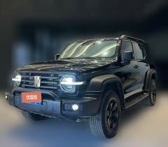 2021 Tank 300 2021 Off-road 2.0TAT conqueror #1